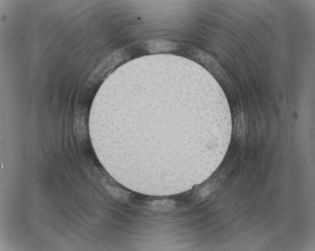 X0000064770426200603131438