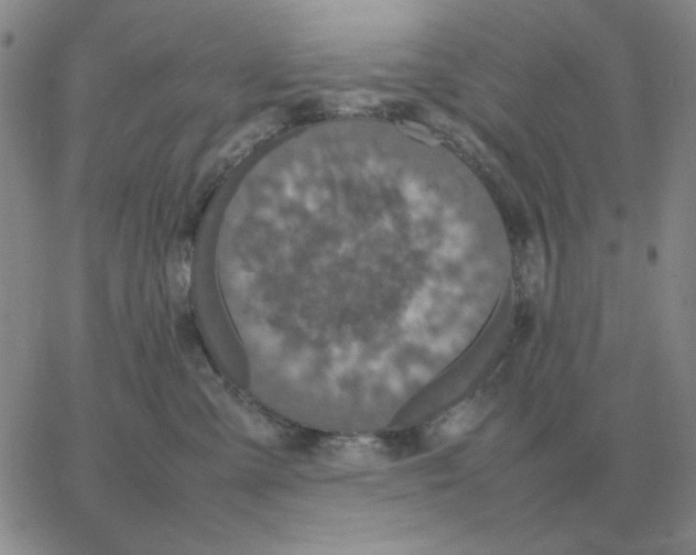 X0000064770427200603131438