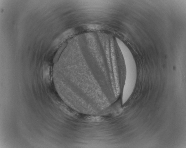 X0000064770428200603131438