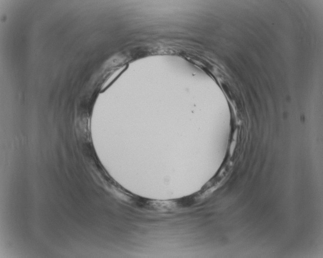 X0000064770429200603131438