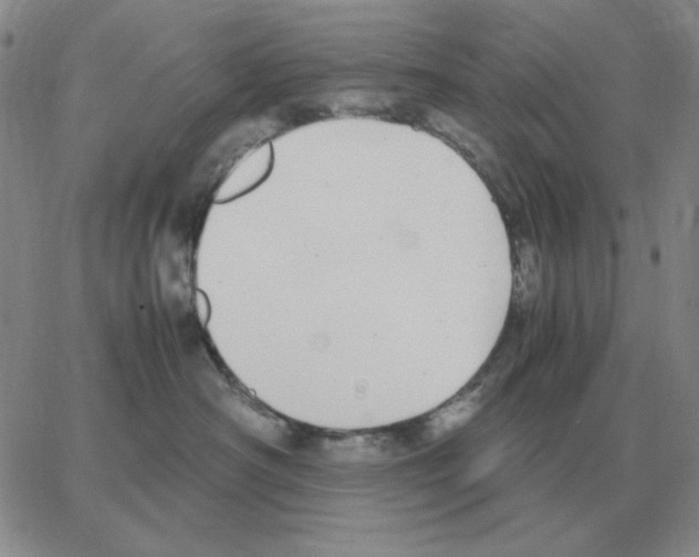 X0000064770430200603131438