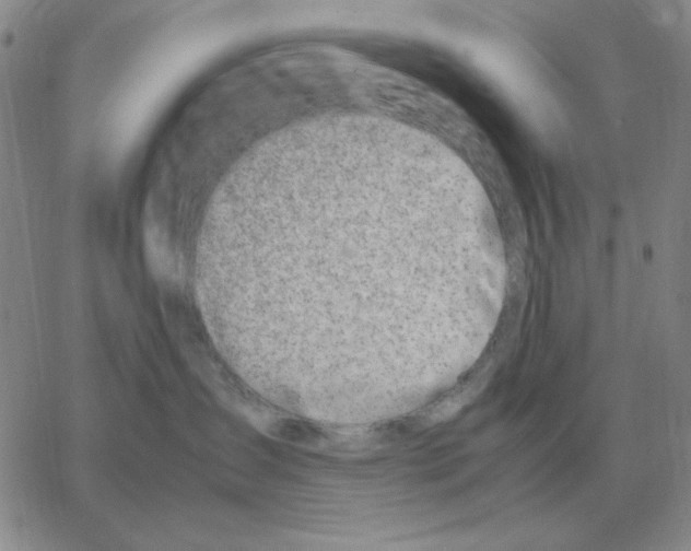 X0000064770431200603131438