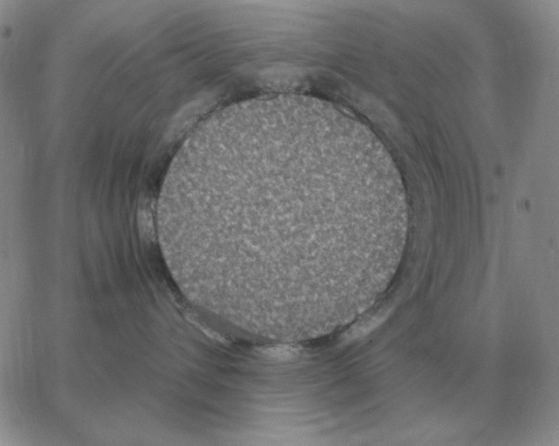 X0000064770432200603131438