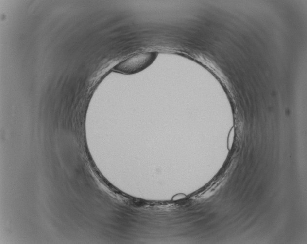 X0000064770433200603131437