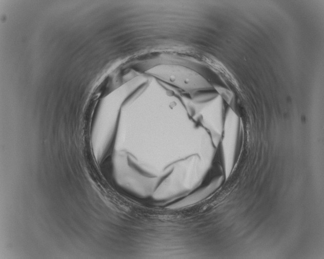 X0000064770436200603131438