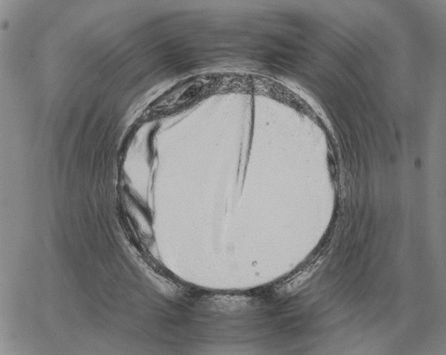 X0000064770437200603131438