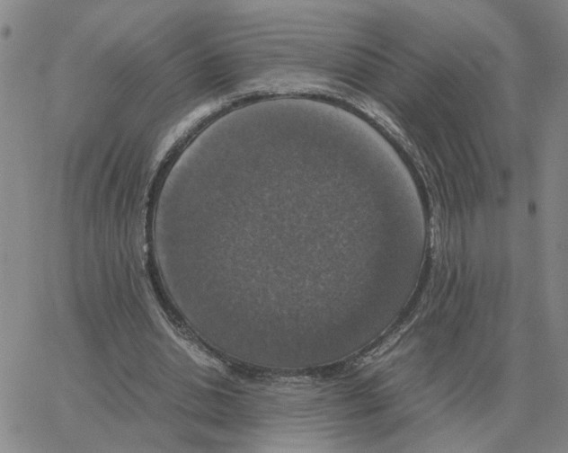 X0000064770438200603131438