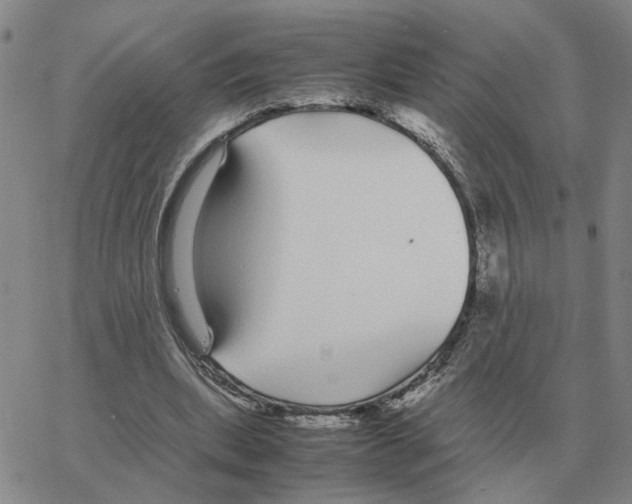 X0000064770439200603131438