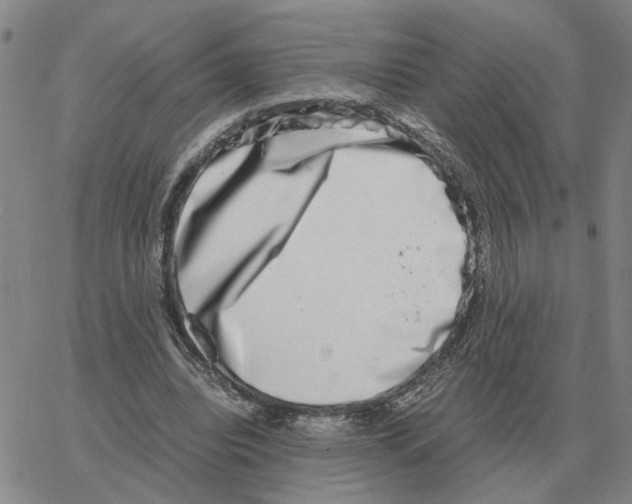 X0000064770440200603131438