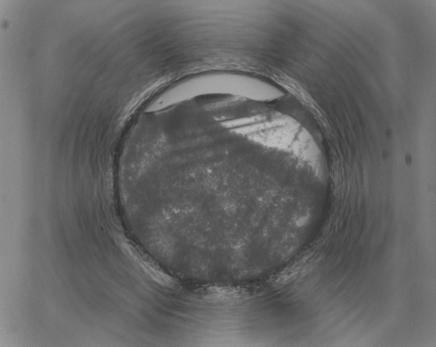 X0000064770442200603131438