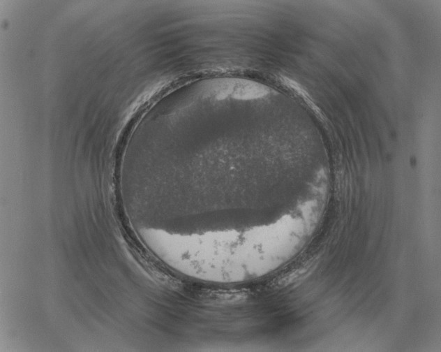 X0000064770443200603131438