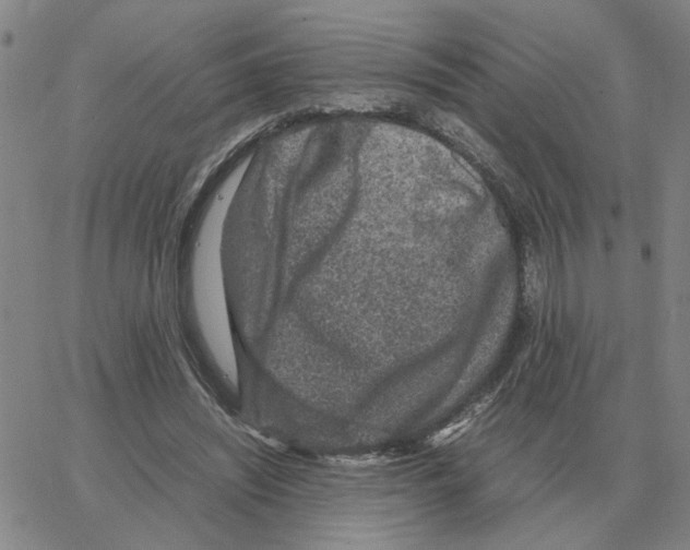 X0000064770444200603131438