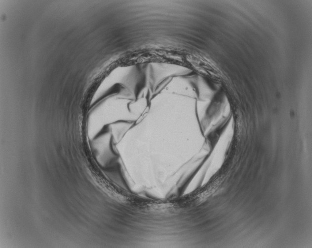 X0000064770446200603131438