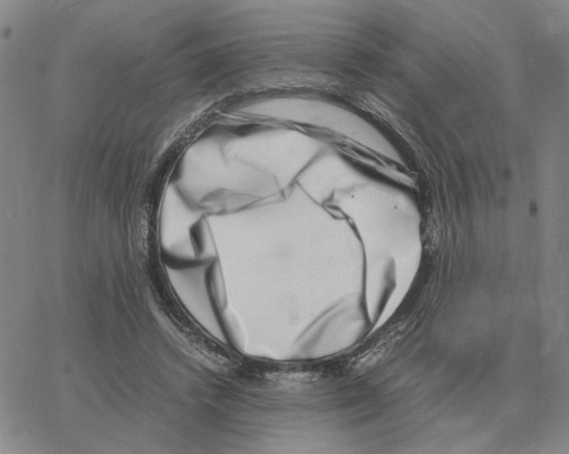 X0000064770448200603131438