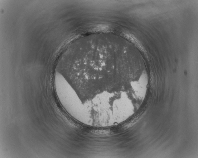 X0000064770449200603131438