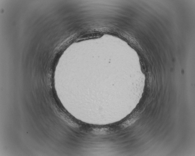 X0000064770450200603131438