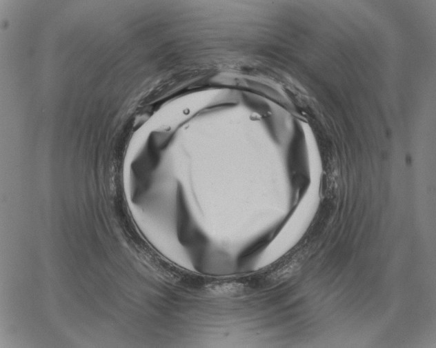 X0000064770452200603131438