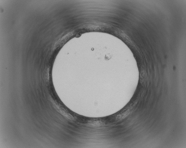 X0000064770454200603131438