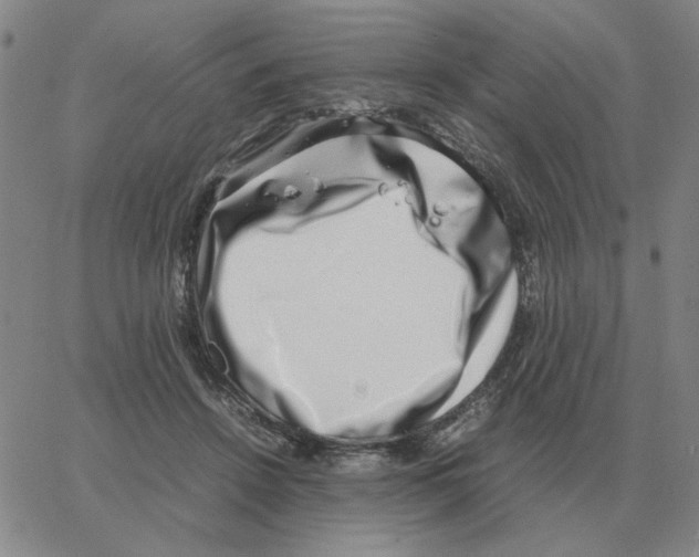 X0000064770456200603131438