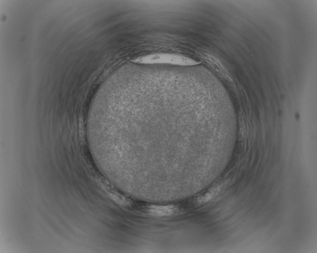 X0000064770457200603131438