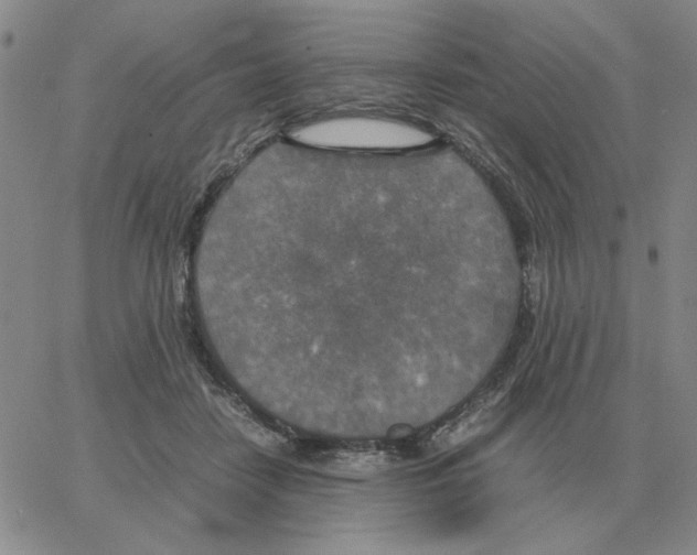 X0000064770458200603131438