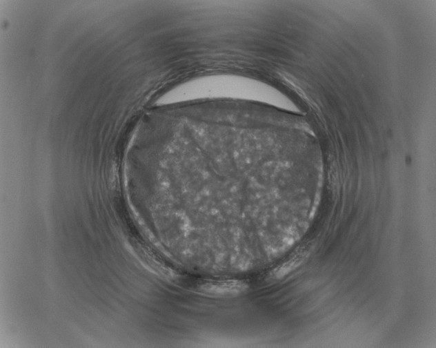 X0000064770459200603131438