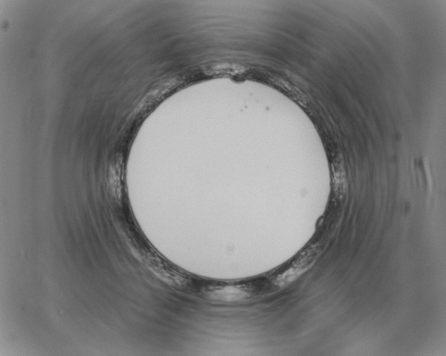 X0000064770460200603131438