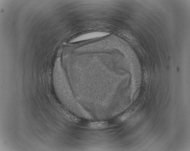 X0000064770461200603131438