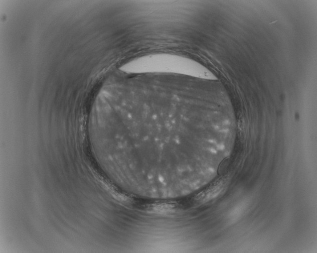 X0000064770462200603131438