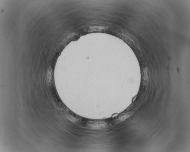 X0000064770463200603131438