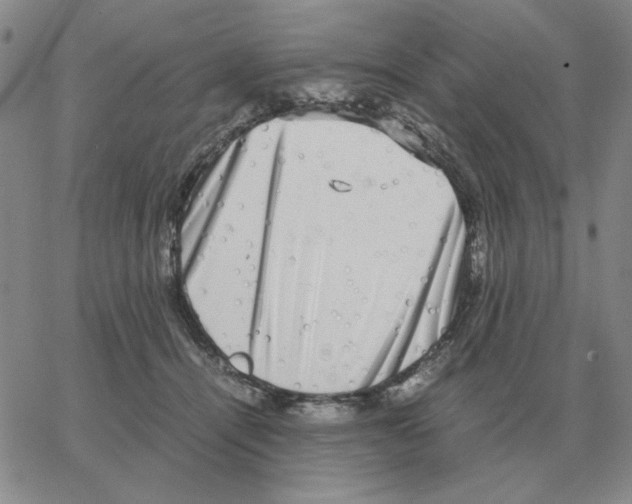 X0000064770464200603131438