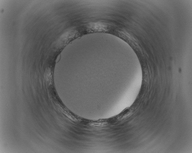 X0000064770465200603131438