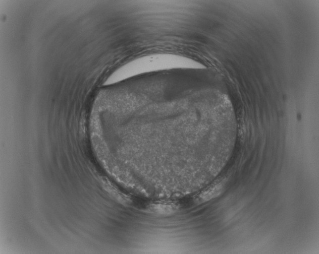 X0000064770466200603131438