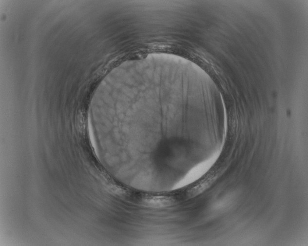 X0000064770467200603131438