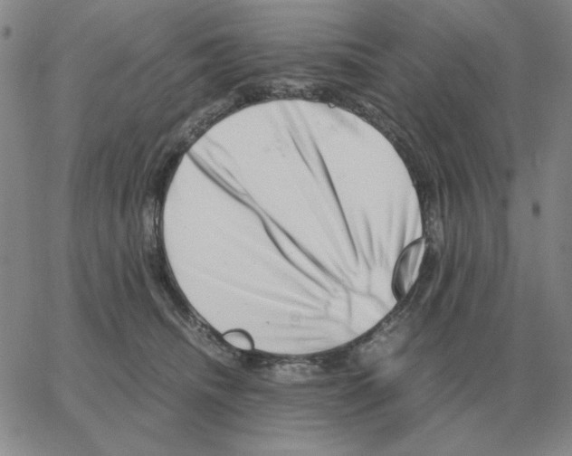 X0000064770468200603131438