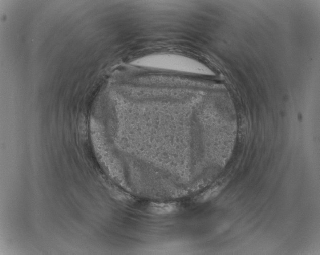 X0000064770469200603131438