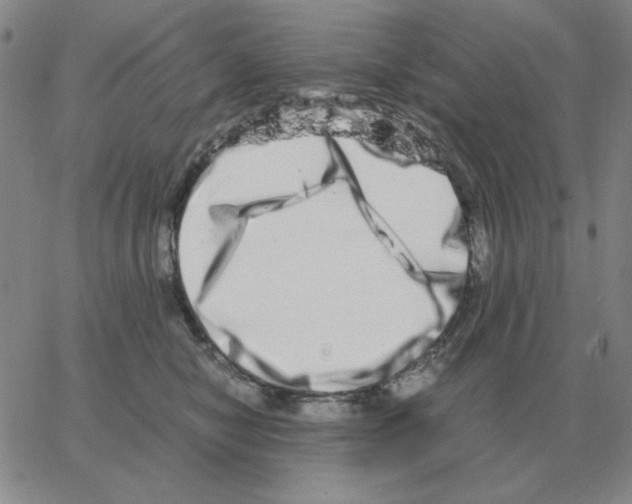 X0000064770470200603131438