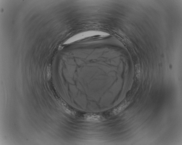 X0000064770471200603131438