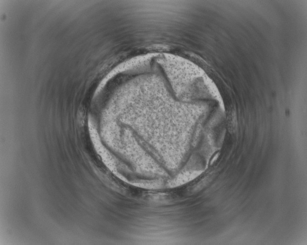 X0000064770472200603131438