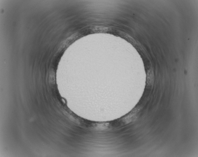 X0000064770474200603131438