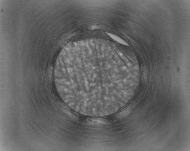 X0000064770475200603131438