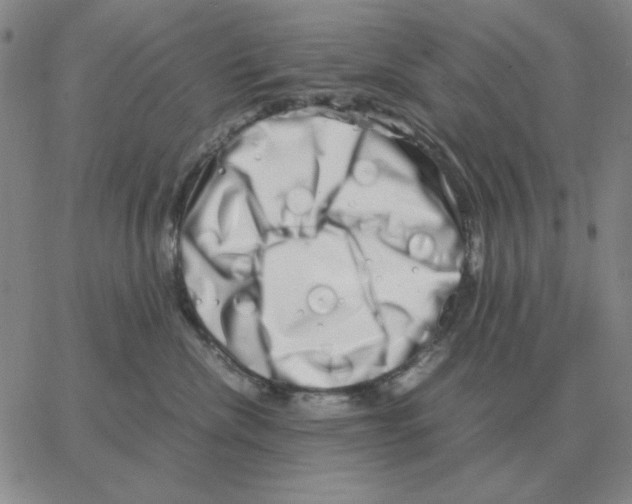 X0000064770476200603131438