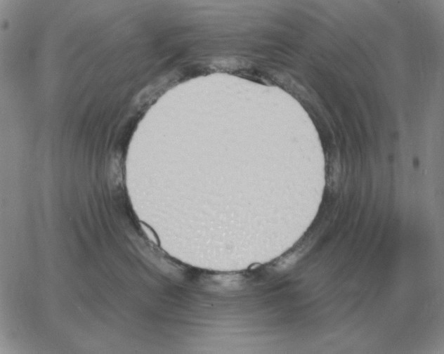 X0000064770478200603131438