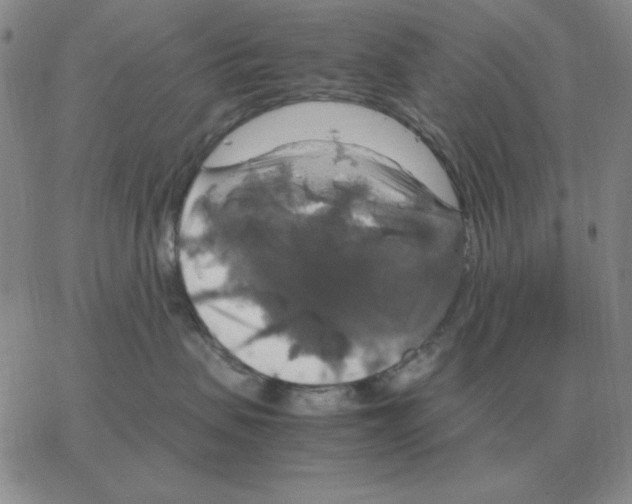 X0000064770479200603131438