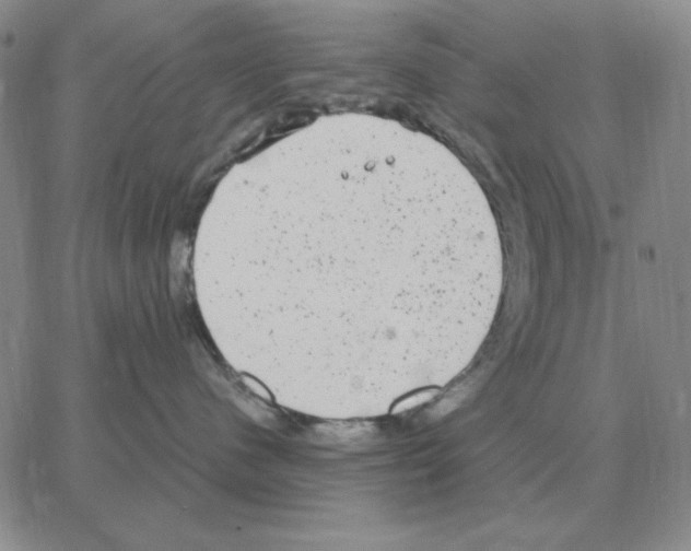 X0000064770480200603131438