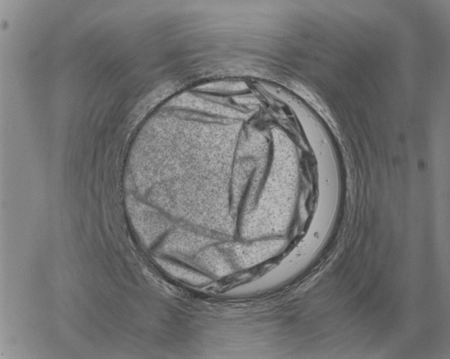 X0000064770481200603131437