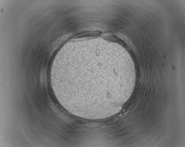 X0000064770482200603131437