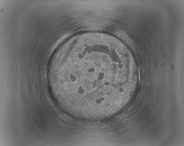 X0000064770483200603131437