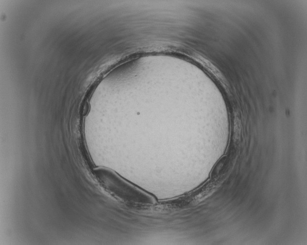 X0000064770485200603131437