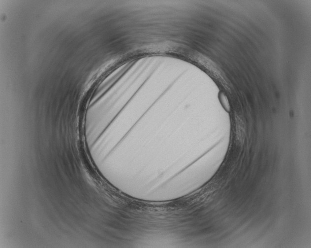 X0000064770486200603131437